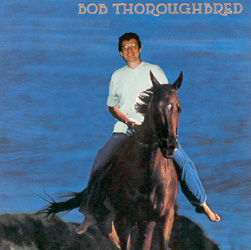 Bob Thoroughbred