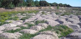 -Gravera de El Romeral (vista parcial del area y de los vertidos)