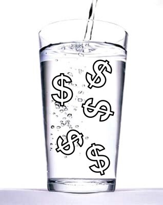El agua como objeto económico