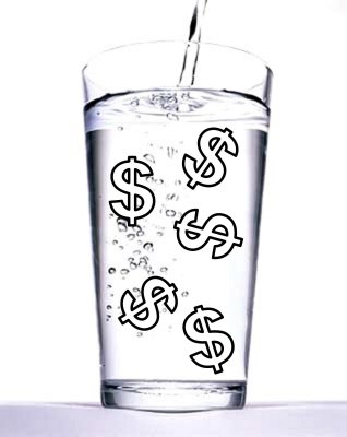 El agua como objeto econmico